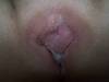 Update 8 Free Pic