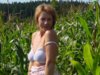 Cornfield Free Pic