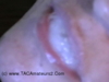 Cum in my mouth movie Free Pic