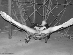 Milf MoonAynjl - Spiders Web Free Pic 4