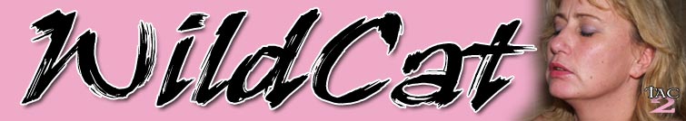Wildcat on TACAmateurs.com